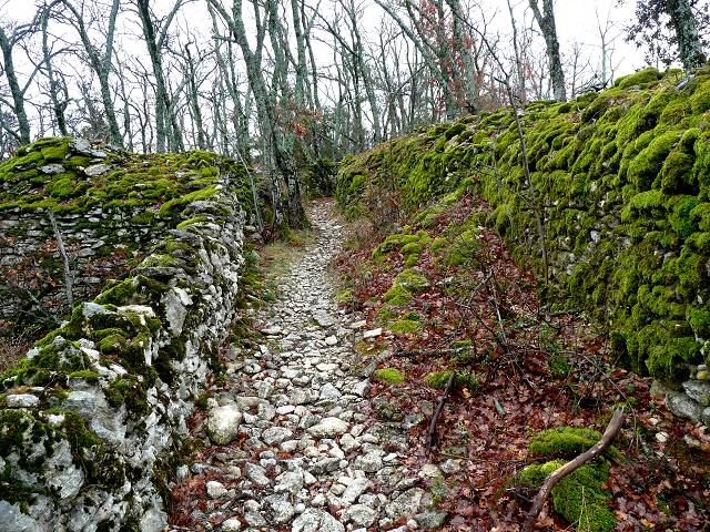 chemin creux