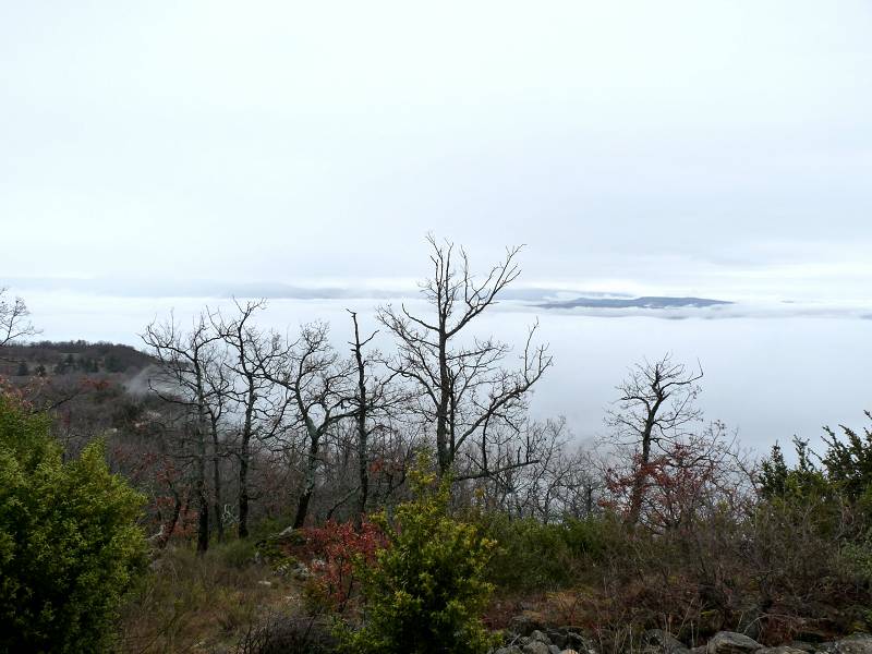 mer de nuages
