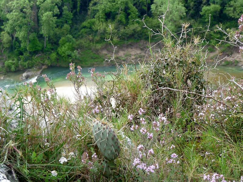 Gorges du Gardon