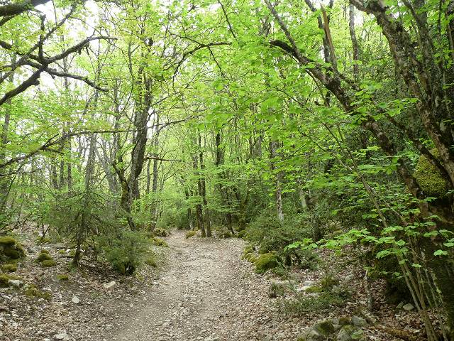 Combe de la Canaud