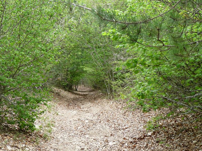 Combe de Clare