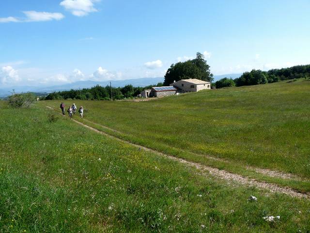 Plateau d'Albion