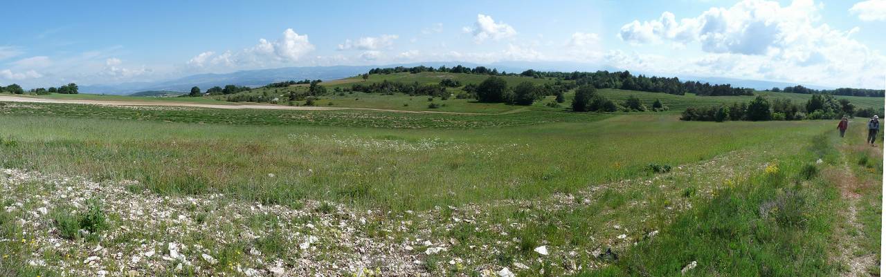 Plateau d'Albion