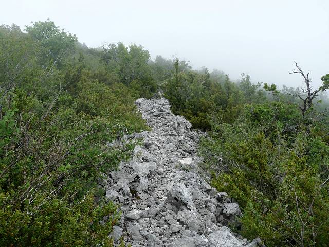 oppidum