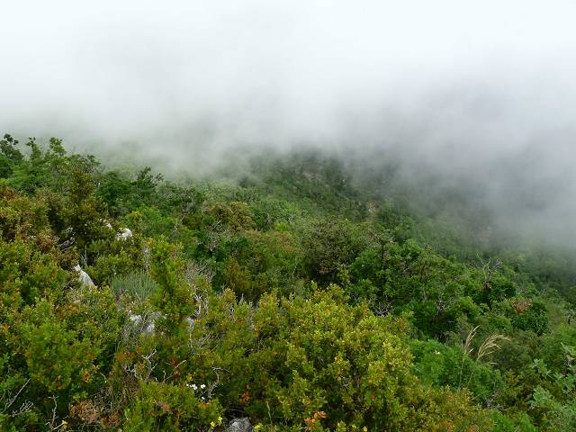 dans les nuages