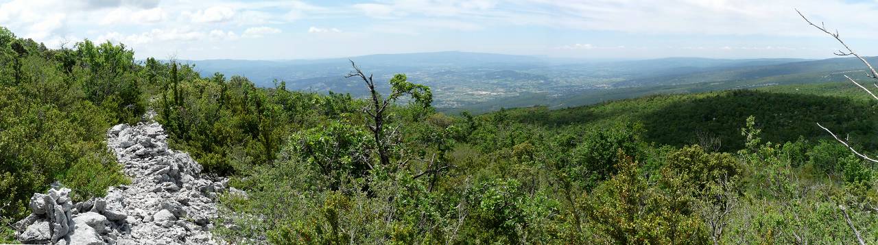 vue