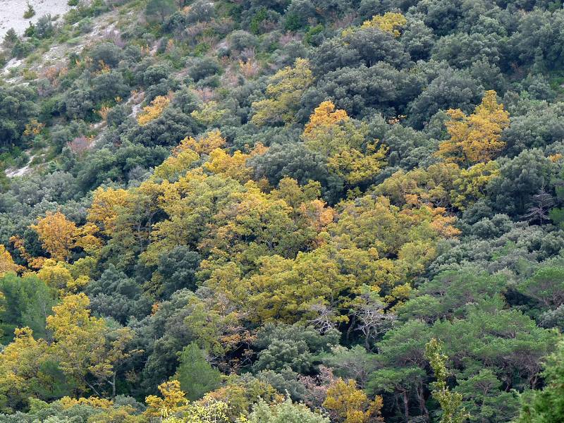 automne
