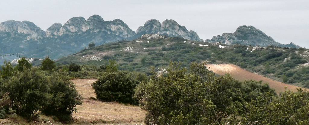 Alpilles