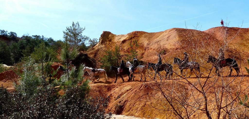 chevaux