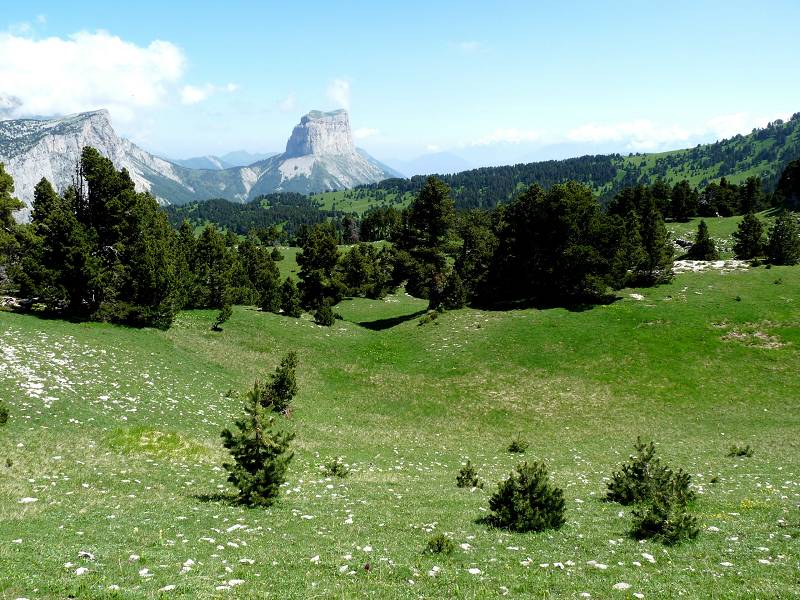 Haut Plateau du Vercors