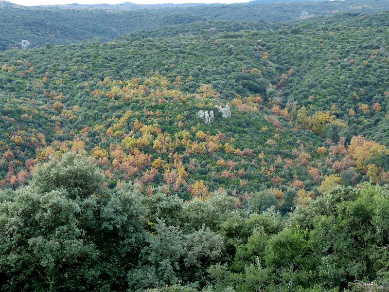 automne