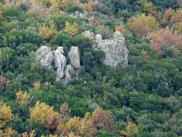 automne