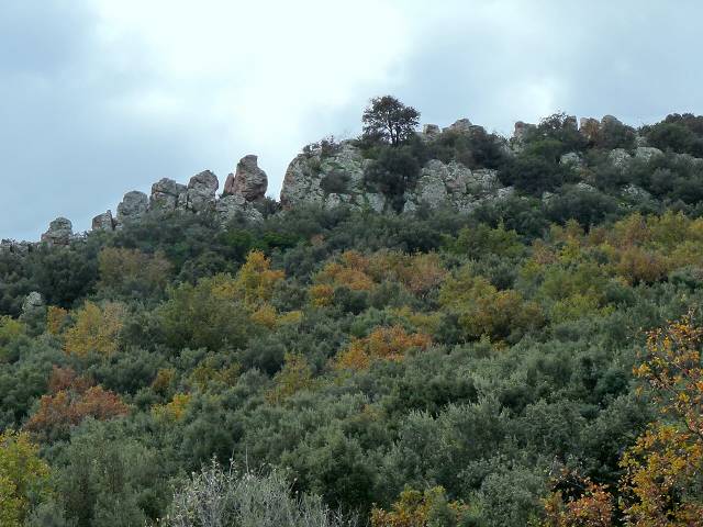 automne