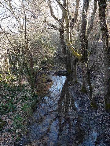 Ruisseau de Concernade