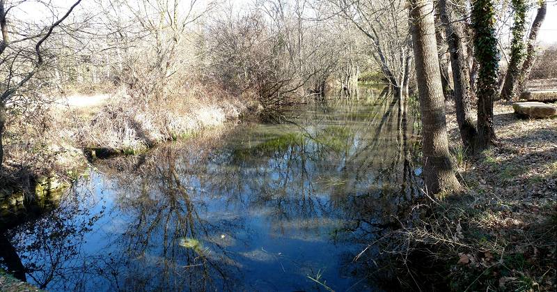 bassin