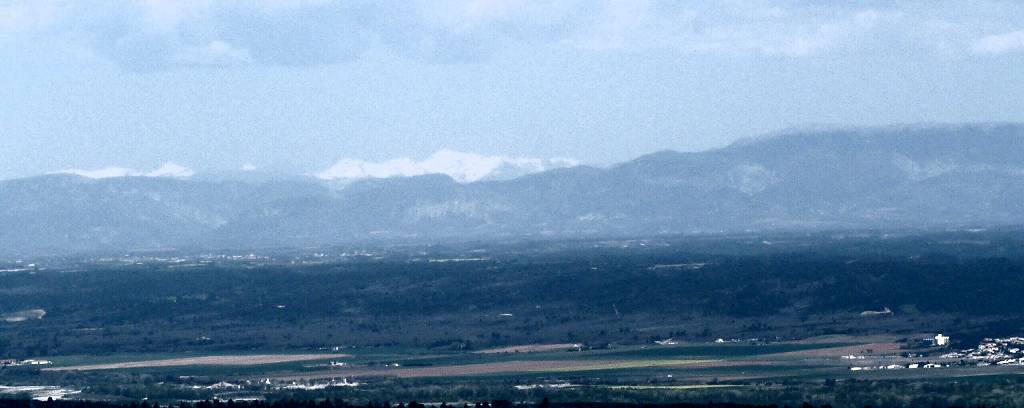 Neige