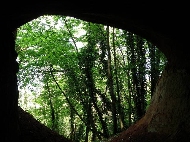 Galerie