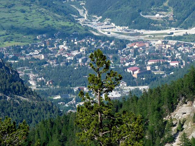 Bardoncchia