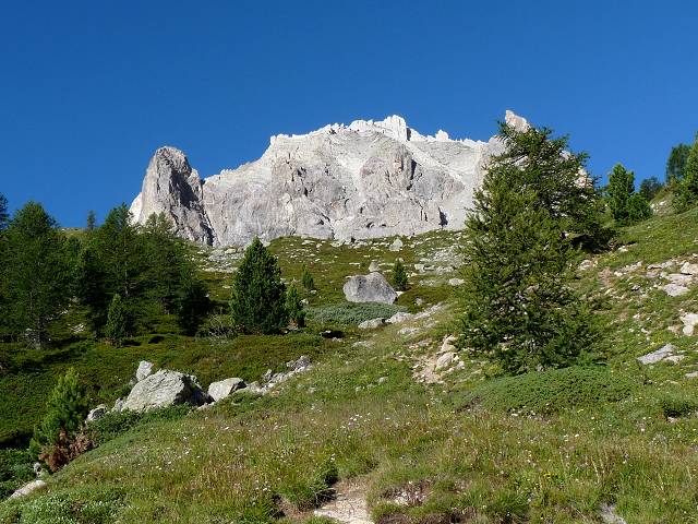 Cerces