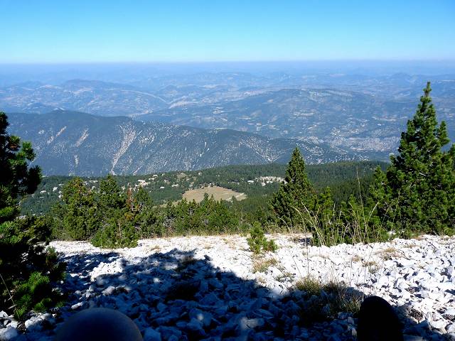 vue