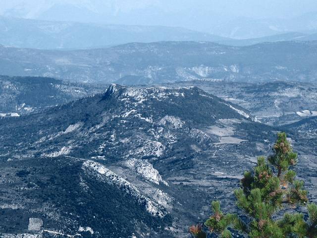 Mvouillon