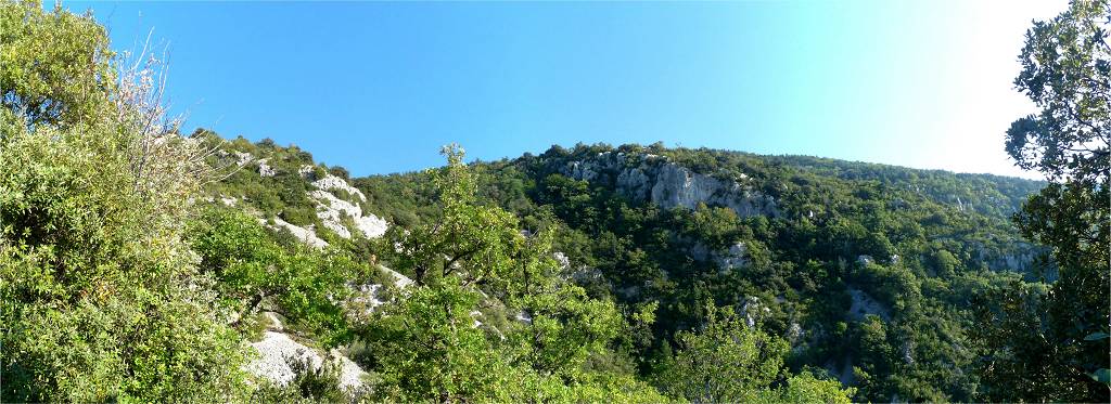 vue