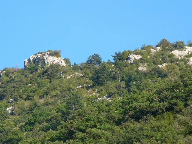 vue