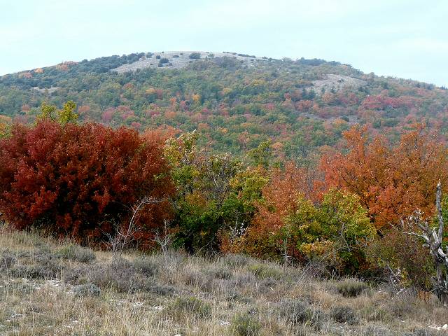 Automne