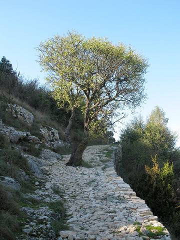 Le Castellas
