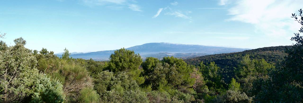 Ventoux