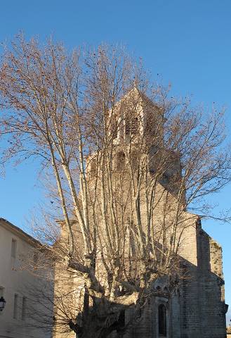 glise