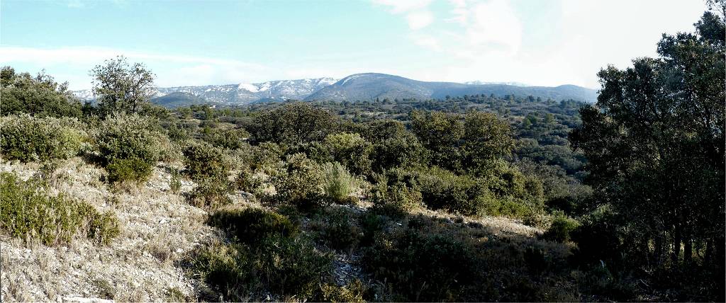 Vallon du Pinson
