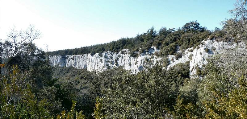 Roque des Bans
