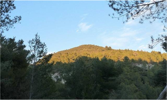 couchant