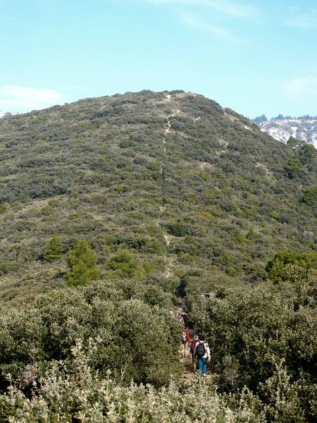 Suc du Merle
