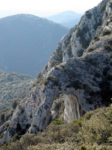 arche