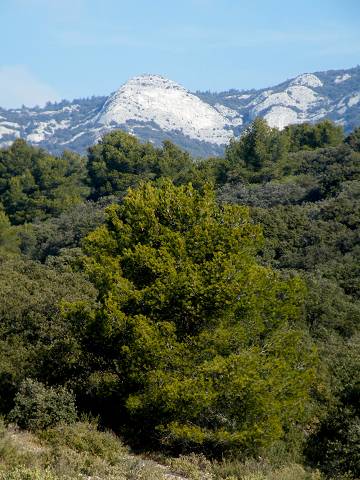 Rochers de Guinchon