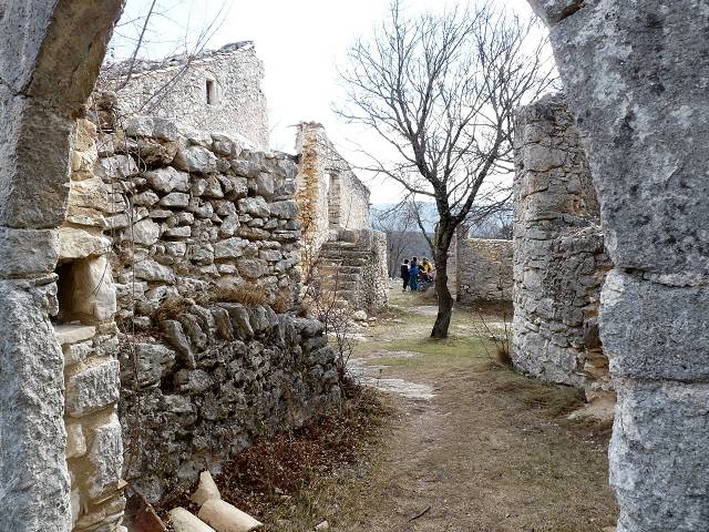 Lausemolan