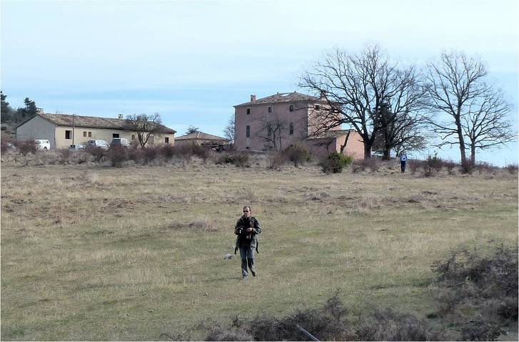 St Hubert