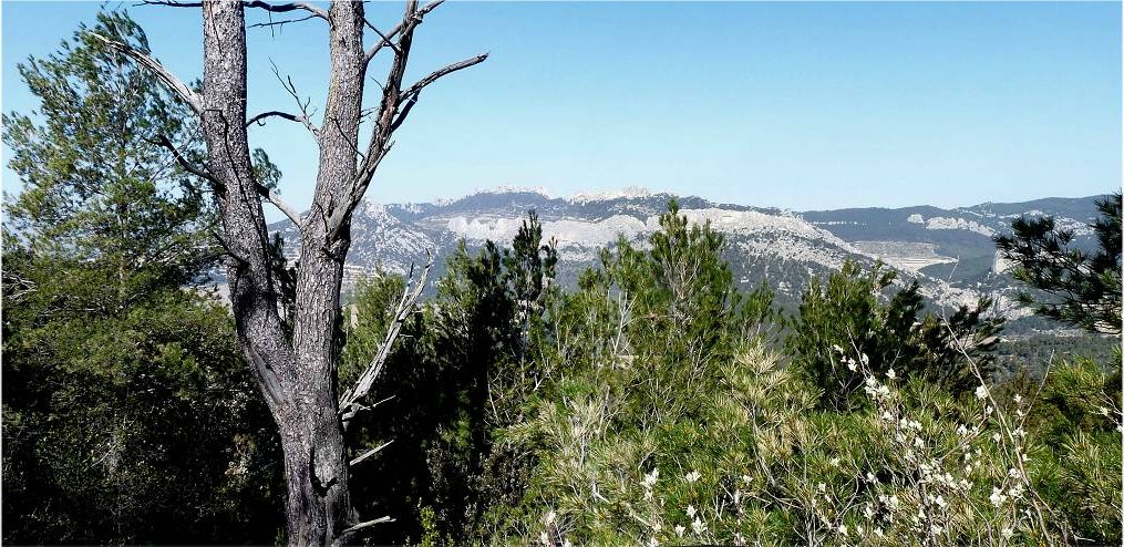 Dentelles de Montmirail