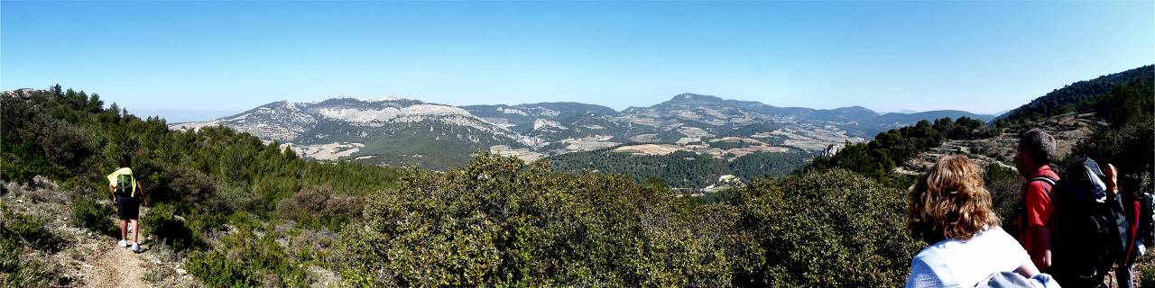 Dentelles de Montmirail