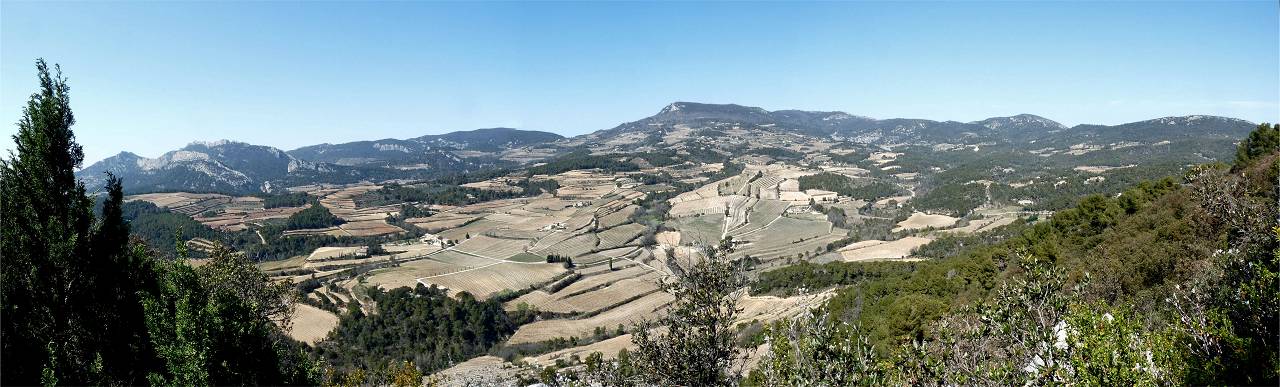 vue