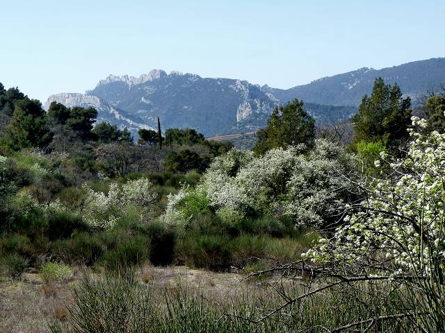 vue