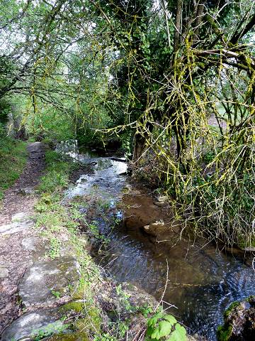 Rocsalire