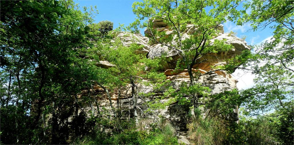 Rocher des Druides