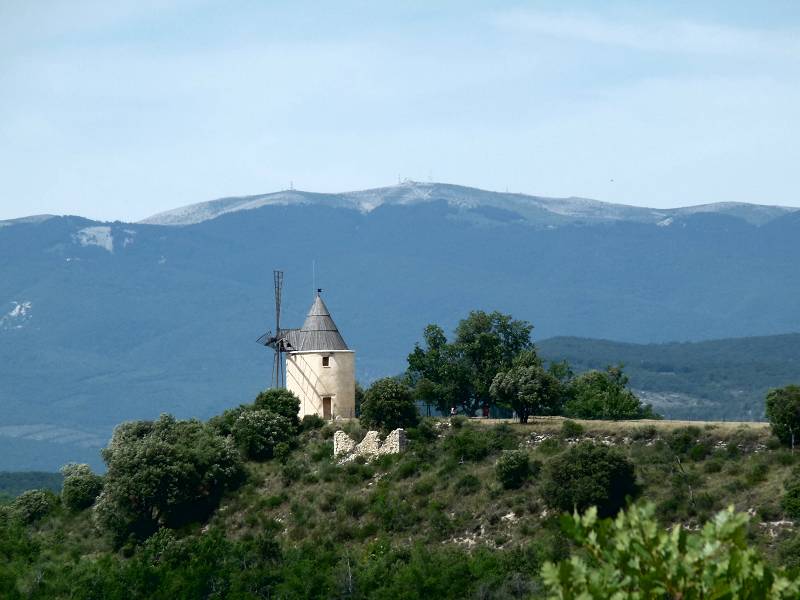 Moulin