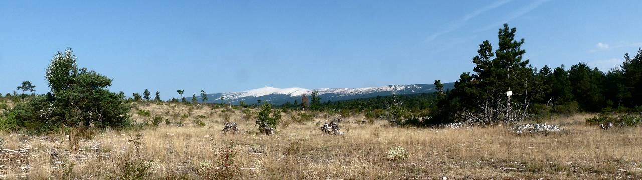 vENTOUX