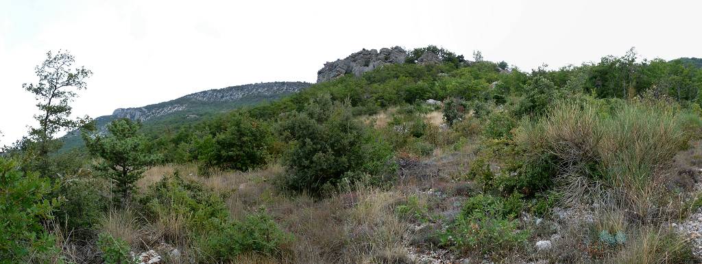 vue