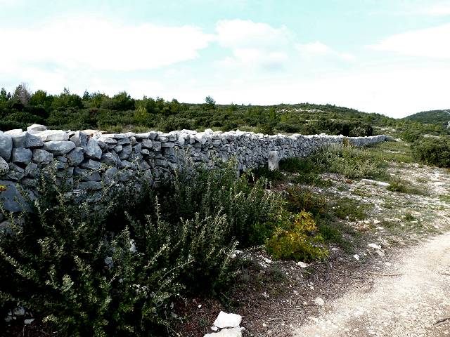 Mur de la Peste