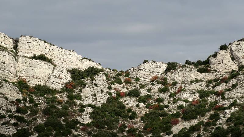 Alpilles
